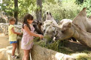 Naturschutz-Tierpark Görlitz – Bild 3