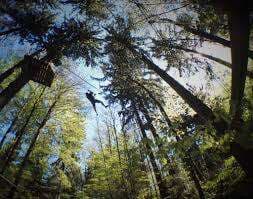 Adventure Park - Signal de Bougy – Bild 1