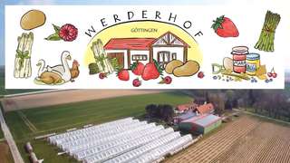 Werderhof Göttingen - Erdbeerfeld - Selbstpflücken – Bild 1