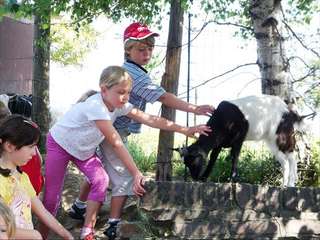 Bauernhof Gut Hixholz – Bild 3