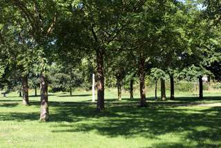 Viersener Jubiläumsgarten – Bild 3