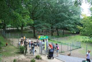 Schnullerbaum im Tierpark Alsdorf – Bild 2