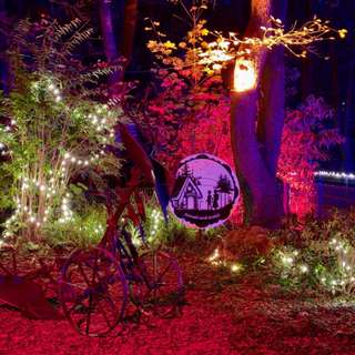 Schnullerbaum im Tierpark Alsdorf – Bild 3