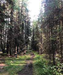 Fairways Park – Bild 3