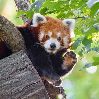 Zoo Duisburg – Bild 1