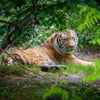 Zoo Duisburg – Bild 2