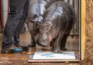 Zoo Duisburg – Bild 3