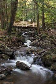 Dupuis Park – Bild 3