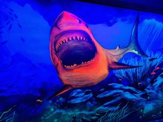 Neomingo GmbH – Bild 3