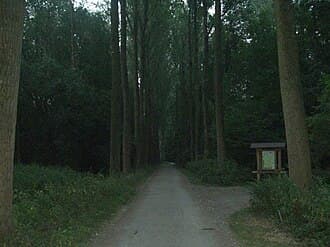 Wildfreigehege Bend – Bild 1