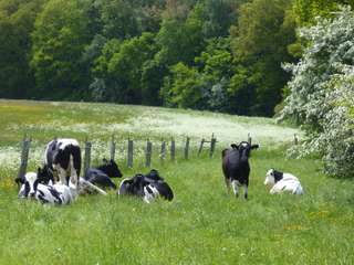 Milchhof am Berg – Bild 1