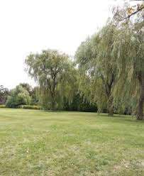 Fallingbrook Park – Bild 1
