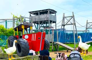 Wasserspiele – Bild 1