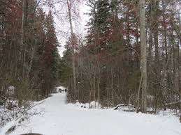 Kin Kanyon – Bild 6