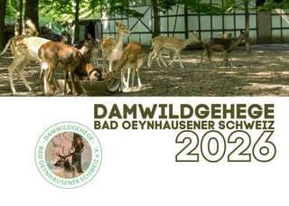 Damwildgehege Bad Oeynhausener Schweiz – Bild 5