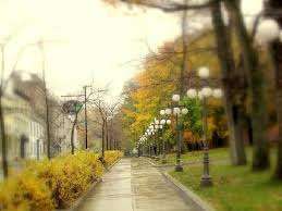 Esplanade Park – Bild 3