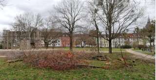 Pollingpark – Bild 1