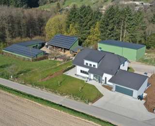 Rosenhof Irsch Scheurer – Bild 1