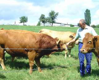 Rosenhof Irsch Scheurer – Bild 2