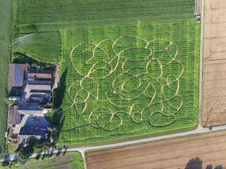 Hockenheimer Maislabyrinth – Bild 2