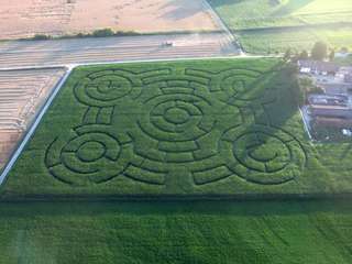 Hockenheimer Maislabyrinth – Bild 3