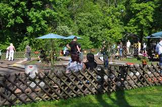Minigolf am Großen Garten – Bild 4