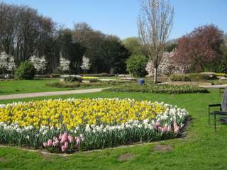 Jubiläumshain – Bild 4