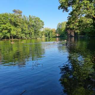 Stadtwald Rheydt – Bild 1