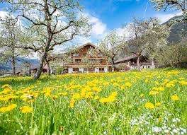 Paulerhof - Bio und Vitalbauernhof – Bild 5