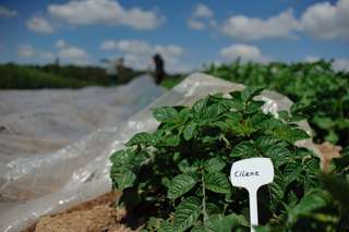 Brungs Bauernladen GbR - Katja und Michael Brungs – Bild 5