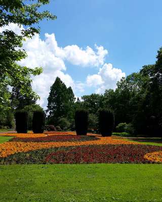 Bunter Garten – Bild 2