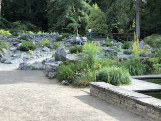 Bunter Garten – Bild 6