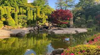 Beueler Rheinaue – Bild 3