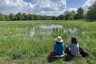 Ratsteich Wiesen – Bild 4