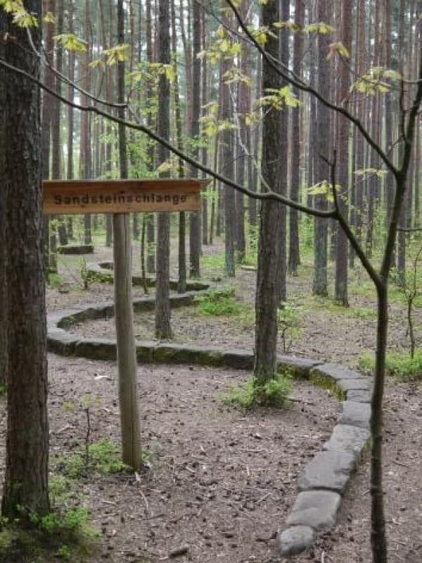 Walderlebniszentrum Tennenlohe – Bild 4