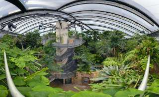 SEA LIFE Hannover – Bild 1