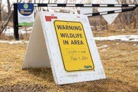 Wild Park – Bild 2