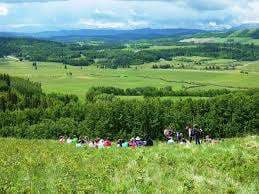 Wild Park – Bild 3
