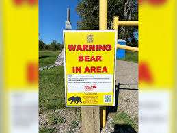Wild Park – Bild 4