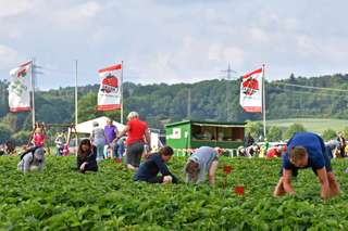 Meckes Hof : Eier und mehr – Bild 4