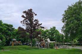 Vögelipark – Bild 1