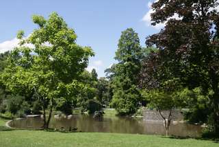 Spielplatz Schlossgarten – Bild 2