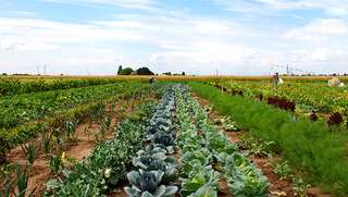 Hof Jüch – Bild 4