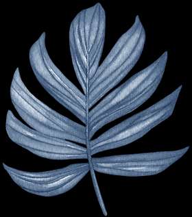 Malama Playdate – Bild 6