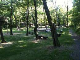 Parco Robinson – Bild 3