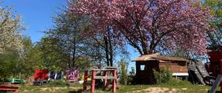 Jugendfarm Bonn e.V. - Kinder- und Jugendhilfeträger – Bild 3