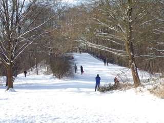 Rodelberg Stadtpark – Bild 1