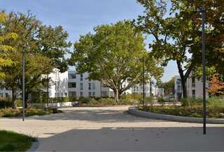 Auf der Hartenecker Höhe – Bild 2