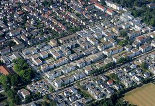 Auf der Hartenecker Höhe – Bild 3