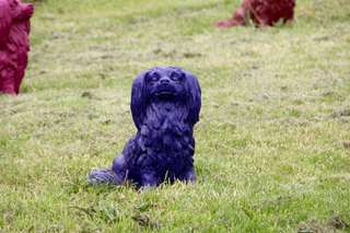 Hundespielwiese – Bild 3